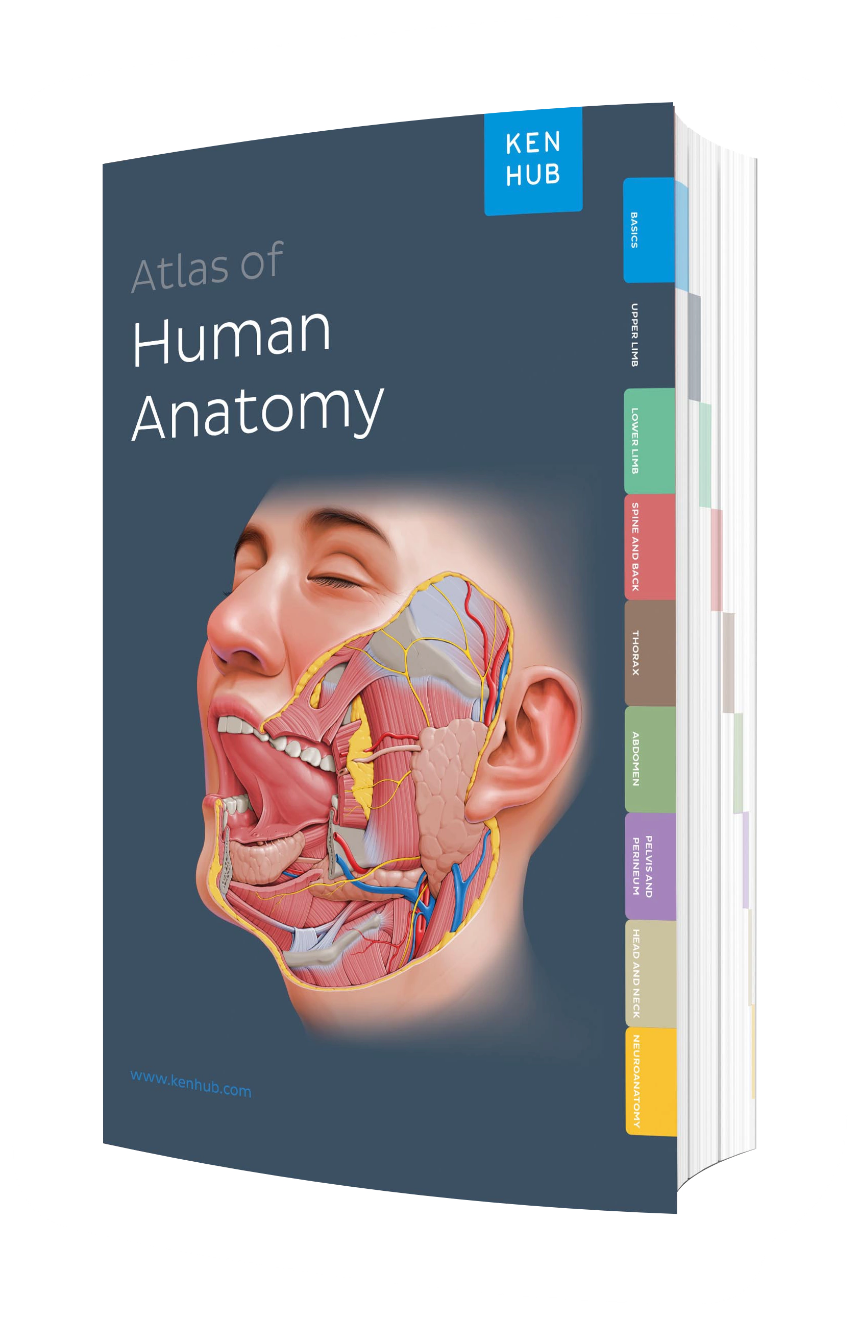 Kenhub Atlas of Human Anatomy: Print Edition | Kenhub