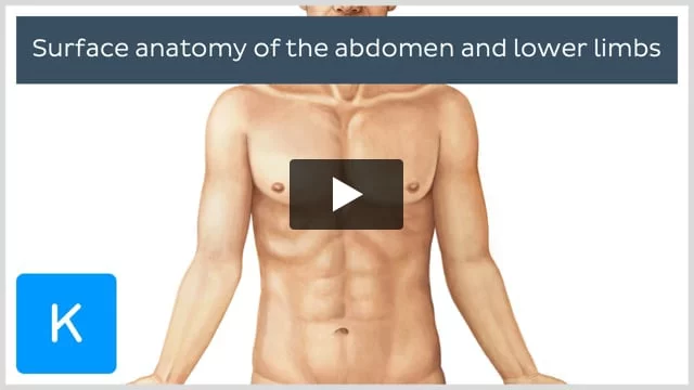 Pain in the abdominal muscles