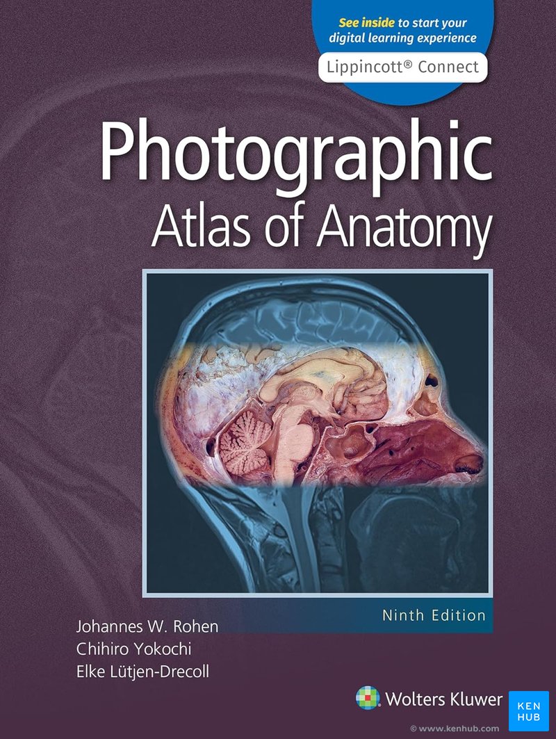 Rohen's Color Atlas of Anatomy: A Photographic Study of the Human Body